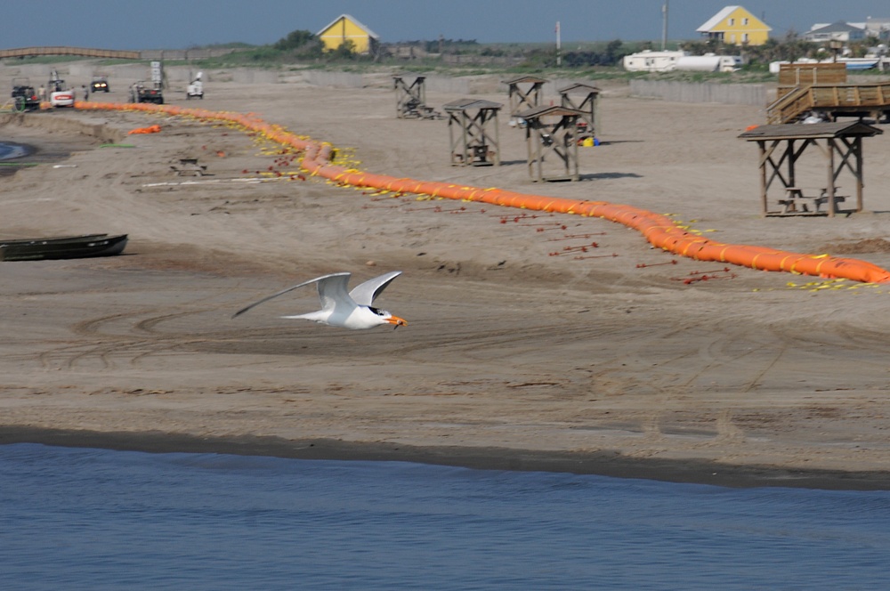 National Guardsmen deploy a strip of boom