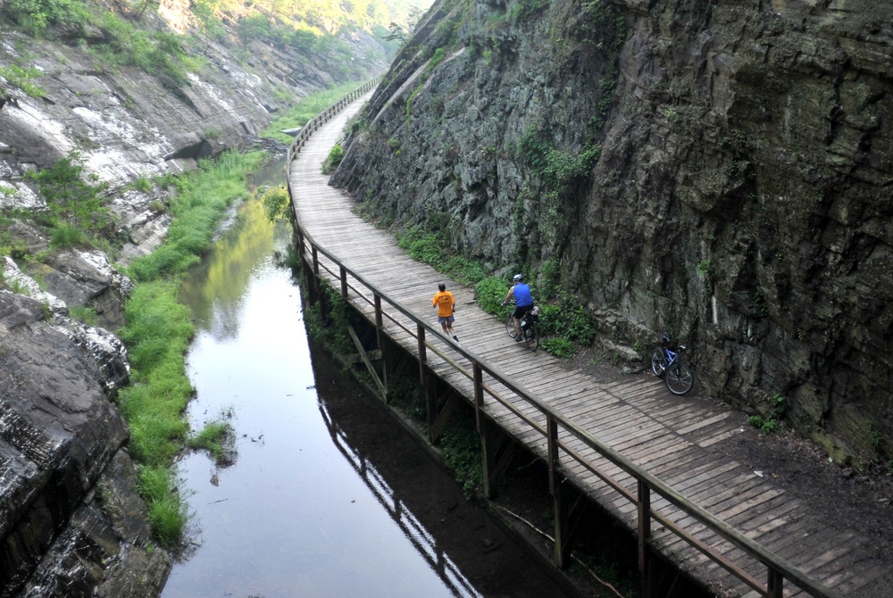 Participants run during the 12th Annual Tom