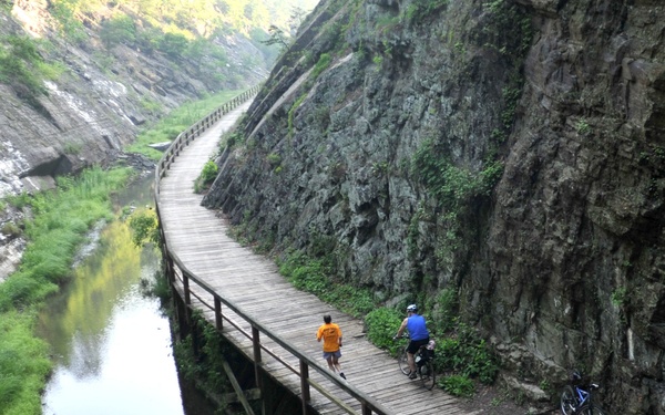 Participants run during the 12th Annual Tom