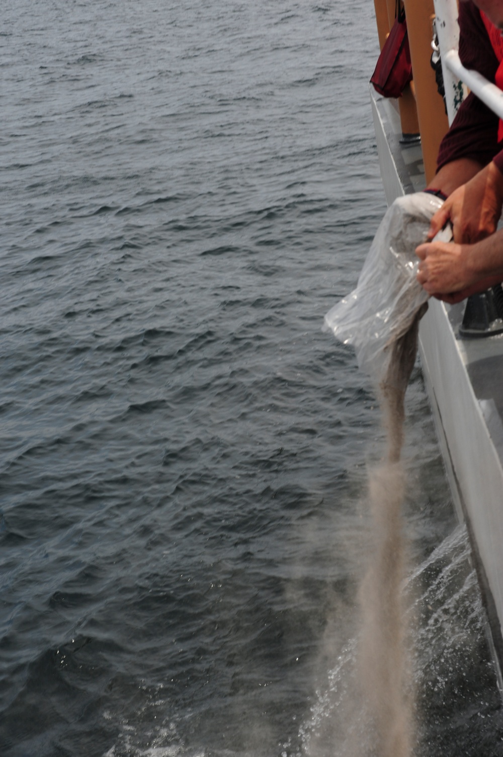 Coast Guard holds memorial service for Vietnam Era hero BMC Richard Patterson
