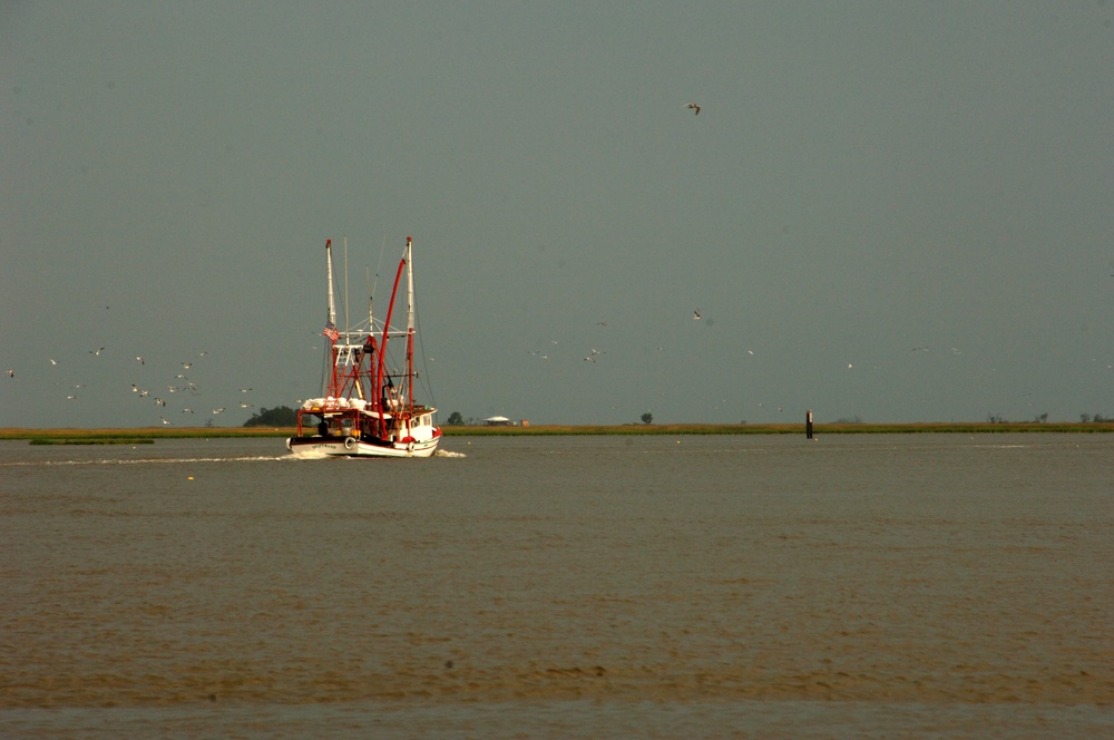 Deepwater Horizon oil spill cleanup