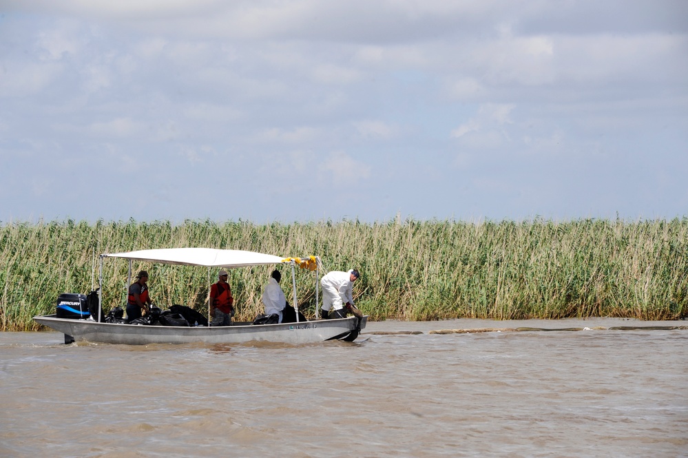 Clean Up Workers Collect Absorbent Booms