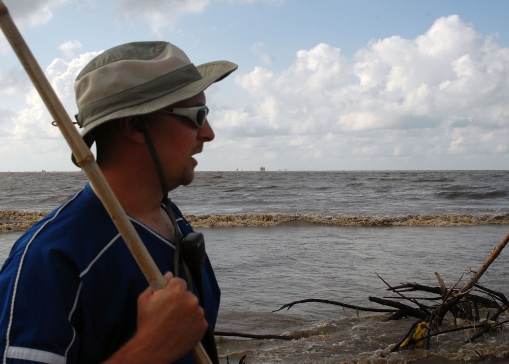 Searching for oiled birds