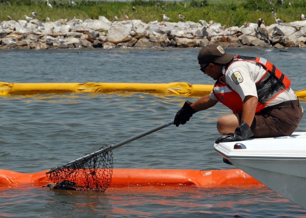 Deepwater Horizon oil spill response