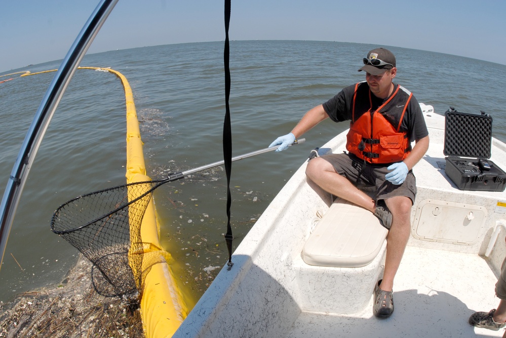 Bird rescue operations