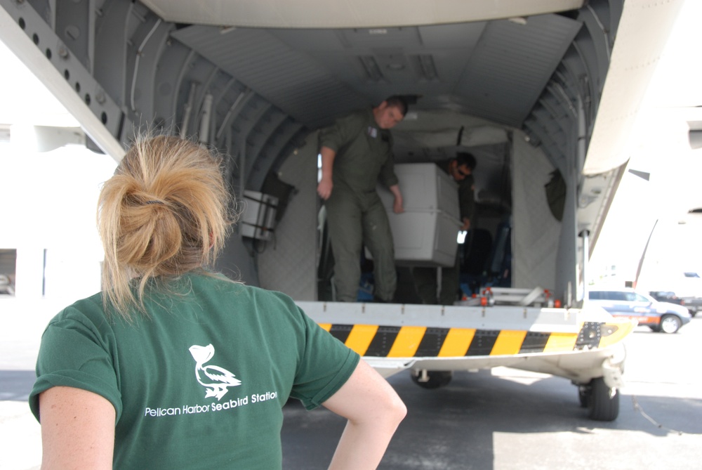 Repositioning Crates with Baby Pelican aboard