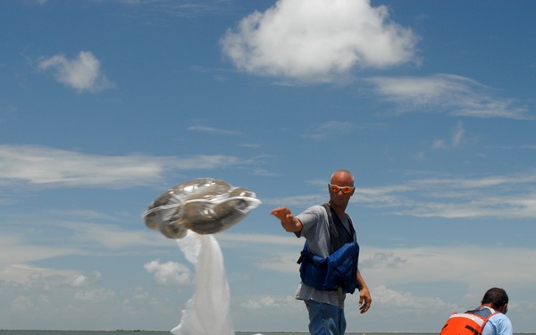 Oil absorbing pom-poms