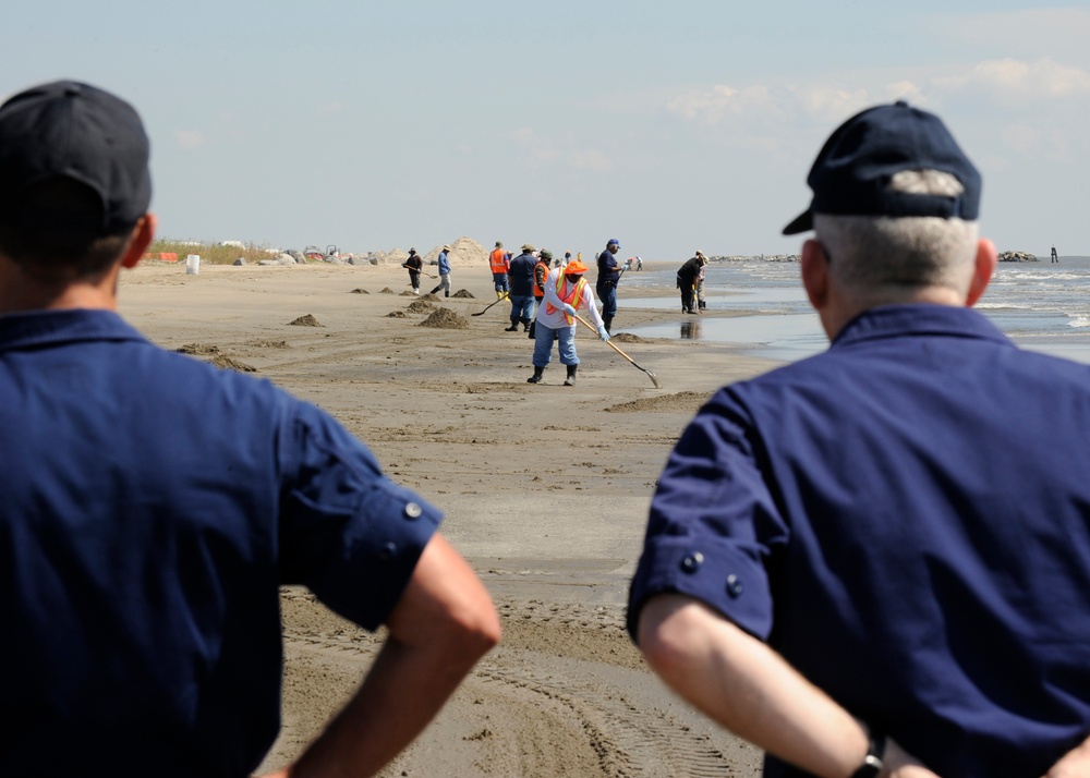 Rear Admirals on Grand Isle Beach