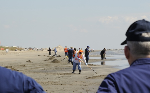 Rear Admirals on Grand Isle Beach