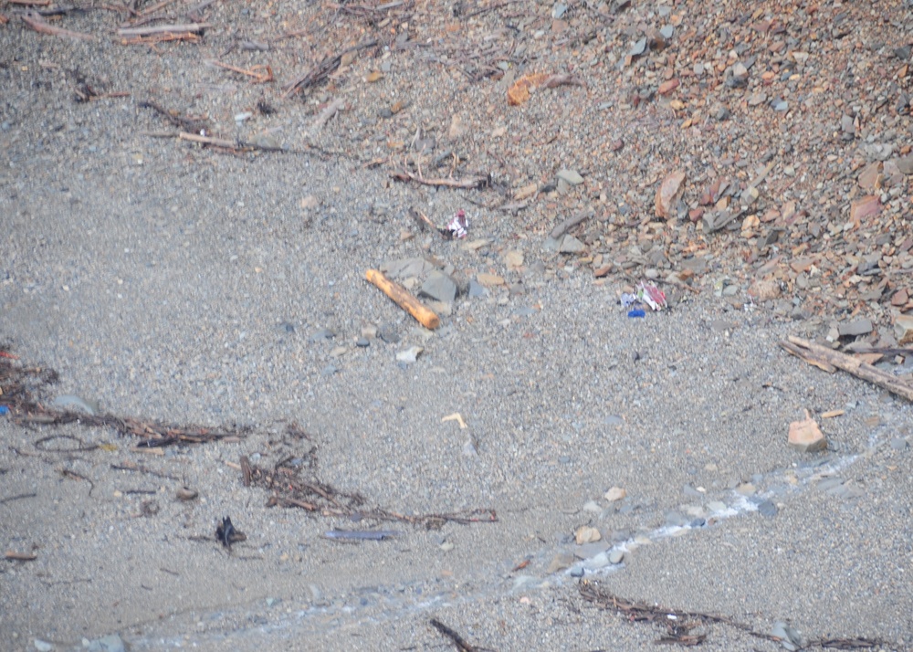 Katmai Bay National Park crash survey