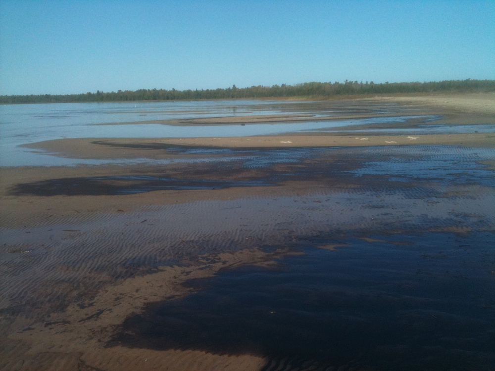 Cheboygan State Park oil