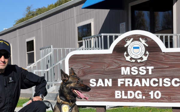 MSST 91105 canine team photo