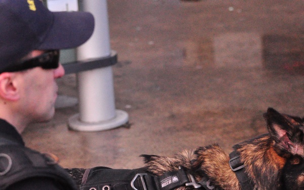 MSST San Francisco (91105) K-9 training event