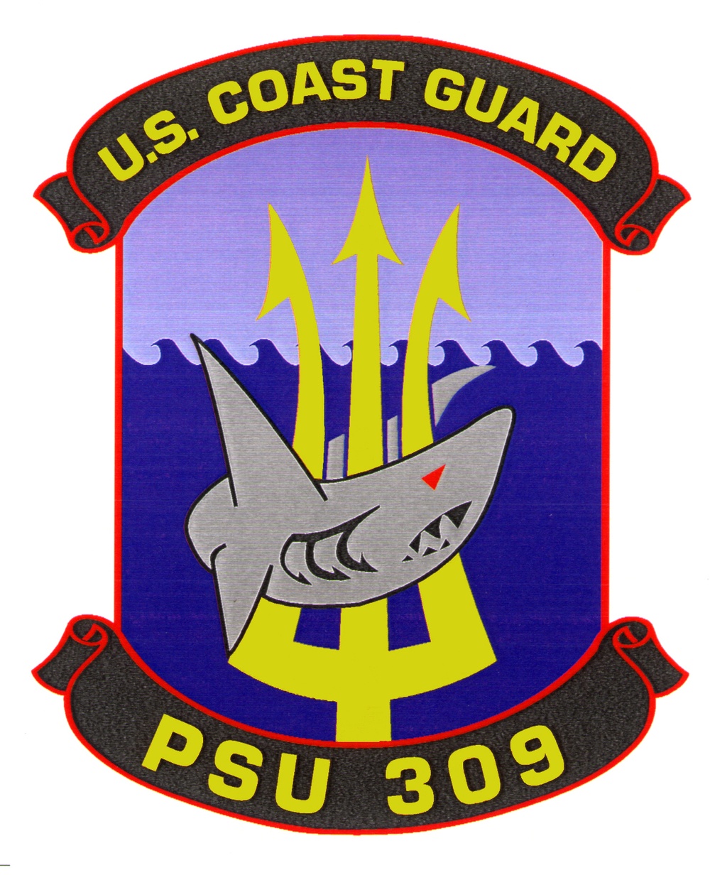 Port Security Unit (PSU) 309