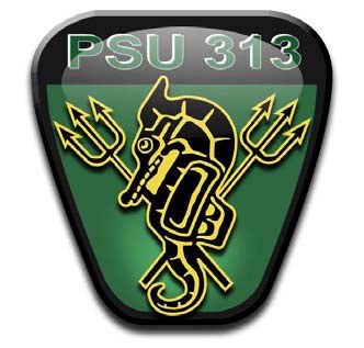 Port Security Unit (PSU) 313