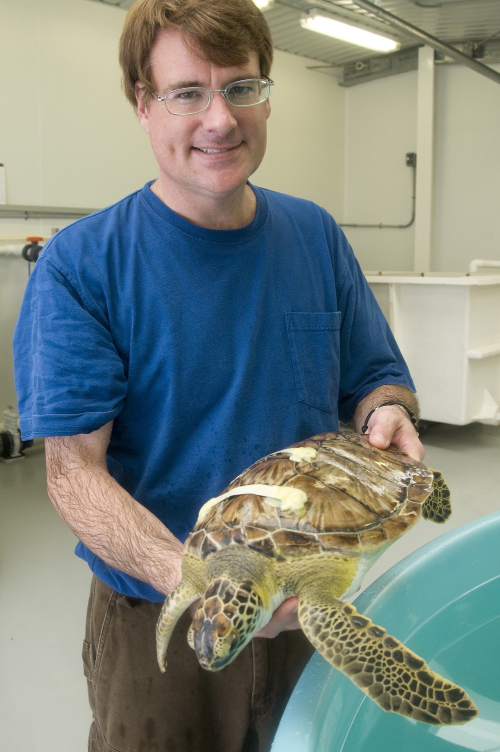 NOAA/Sta Galveston turtle rescue