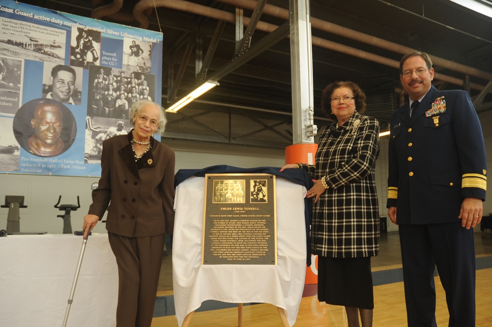 Unveiling of the Award