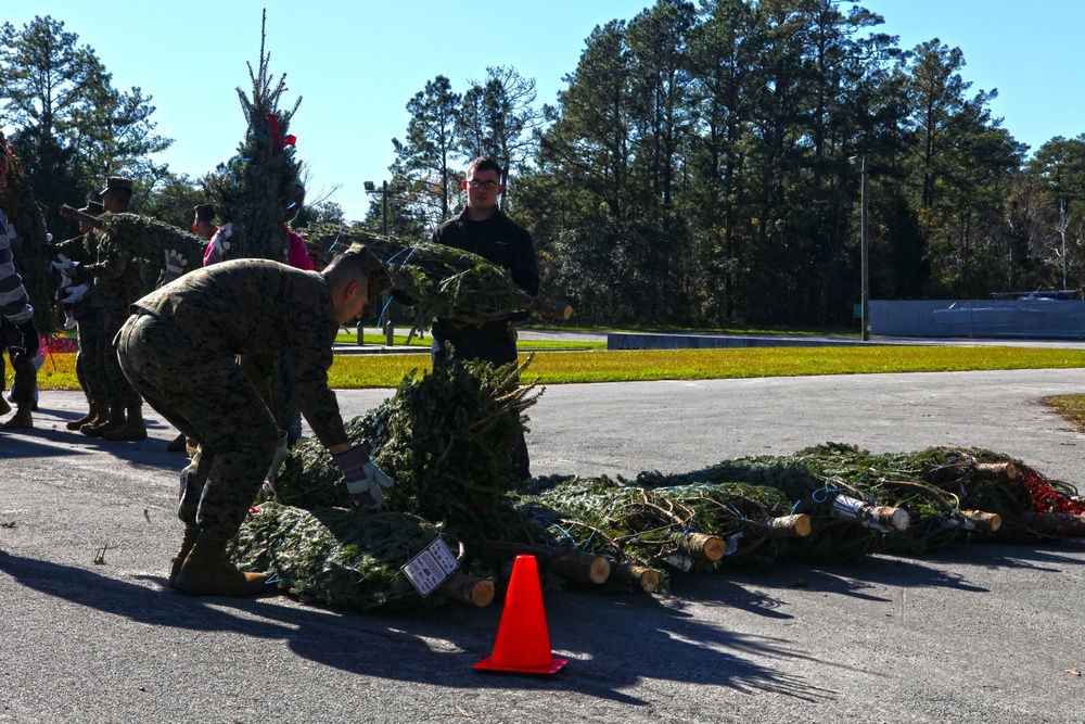 Trees for Troops