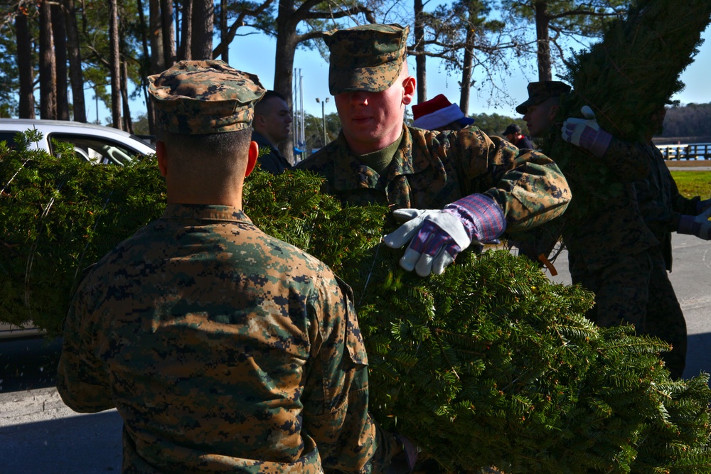 Trees for Troops