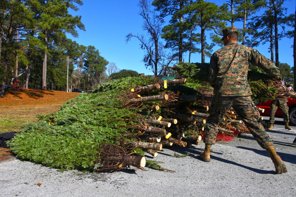 Trees for Troops