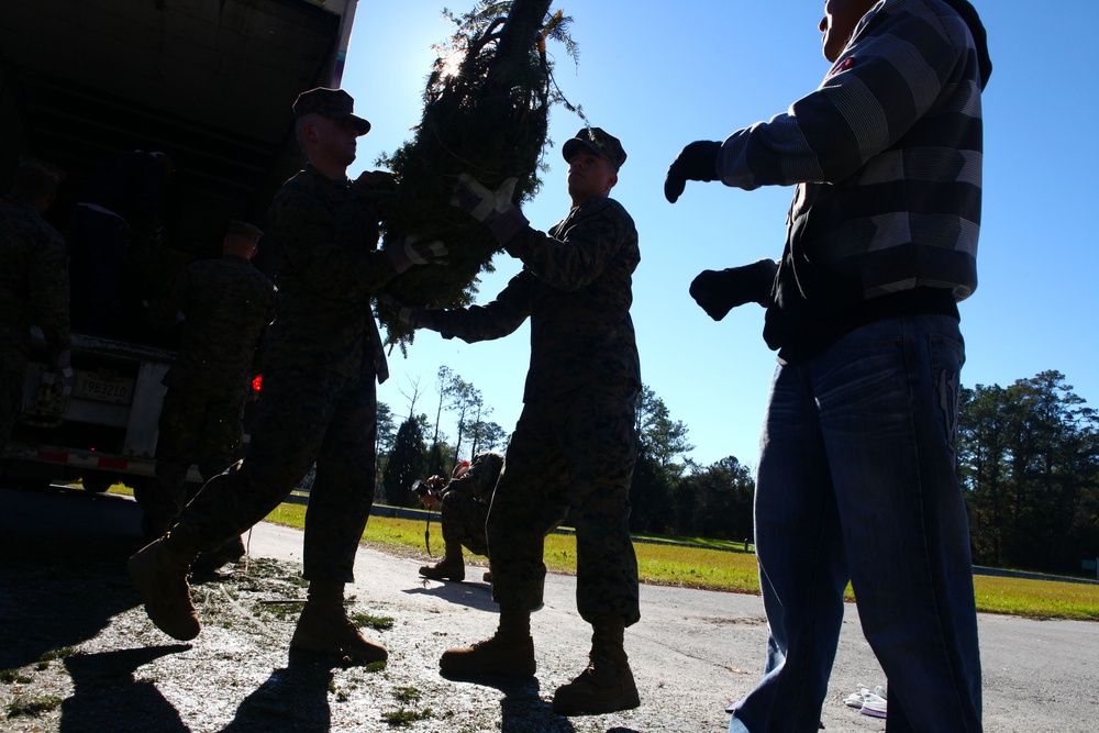 Trees for Troops