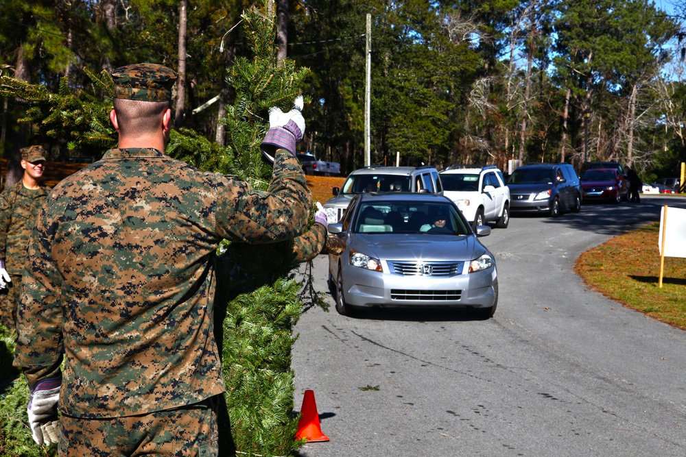 Trees for Troops