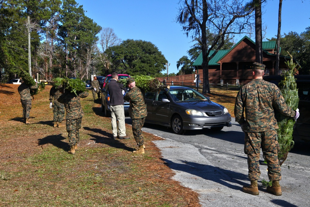 Trees for Troops