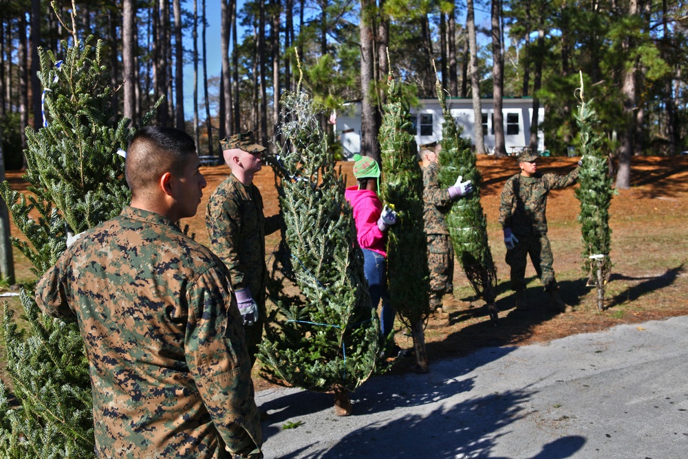 Trees for Troops