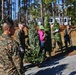 Trees for Troops