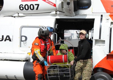 Piper Cub crash Cape Suckling