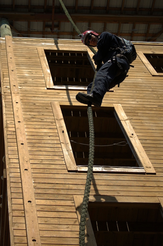 DOG Assessment and Selection