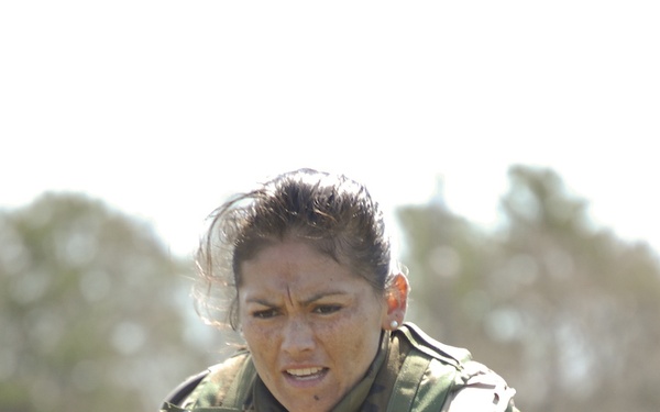 DOG Assessment and Selection