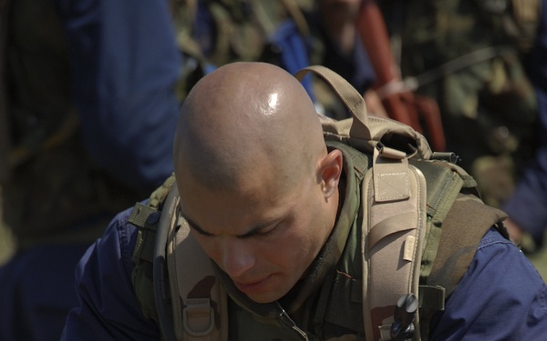 DOG Assessment and Selection