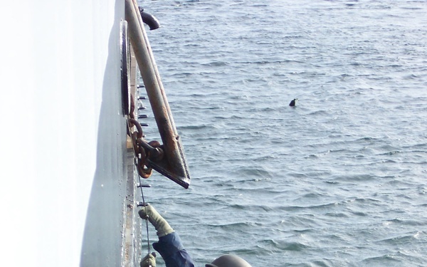 MSST BOSTON Hook and Climb Training