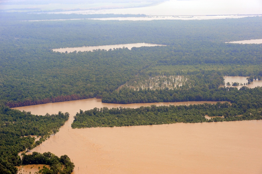 Atchafalaya Basin