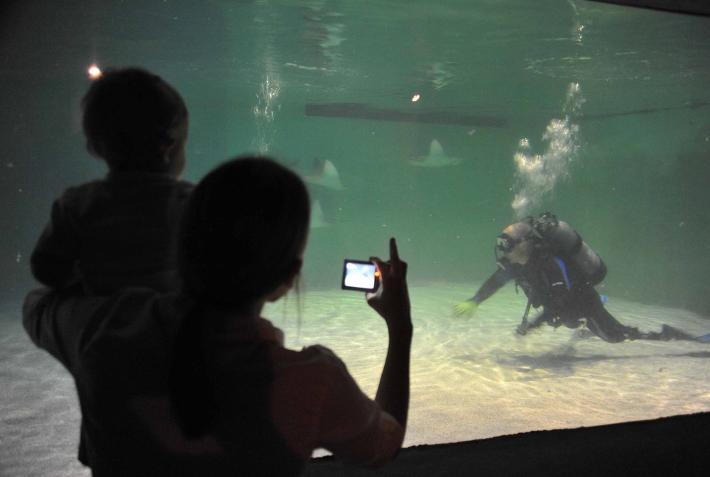 Wounded warriors dive Baltimore Aquarium