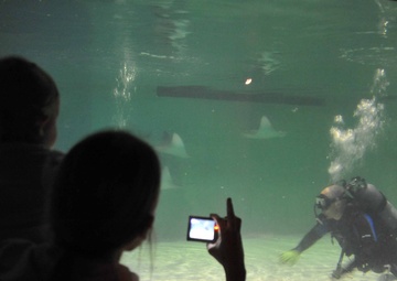 Wounded warriors dive Baltimore Aquarium