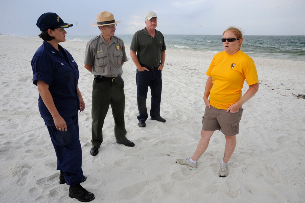 Turtle nesting