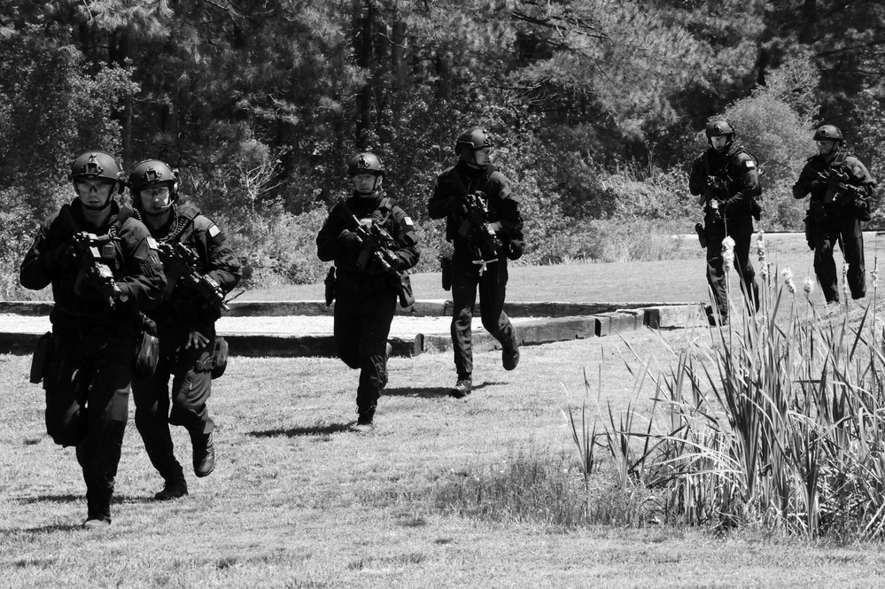 Coast Guard Maritime Security Response Team