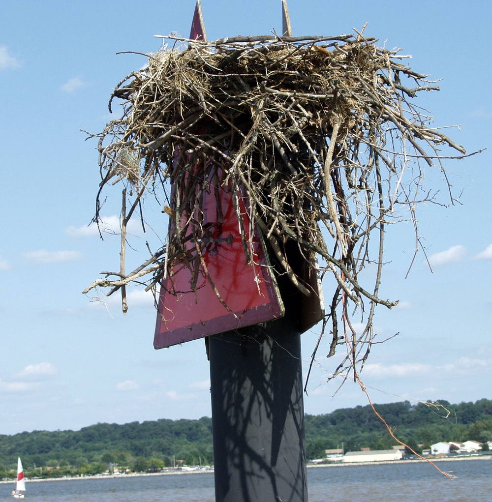 Osprey Nest and Aids to Navigation