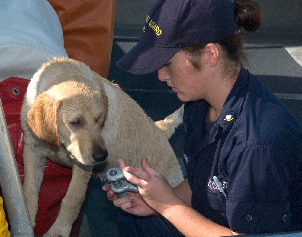 Crewmember conducts maintenance with a helping paw