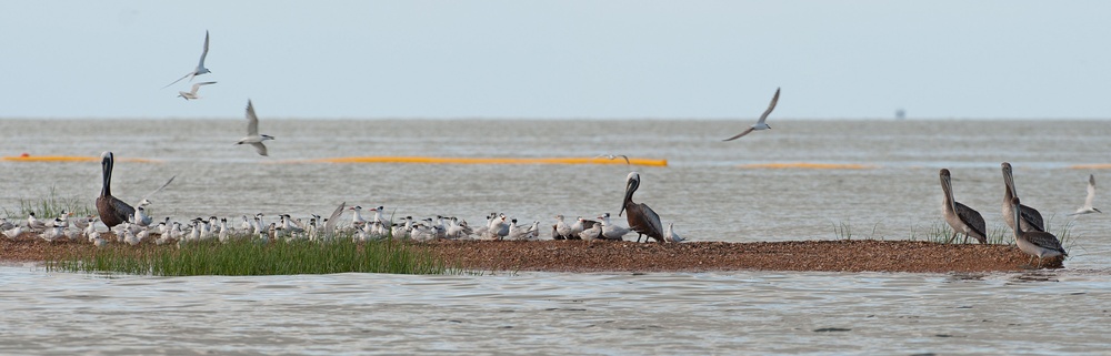 Oil spill response