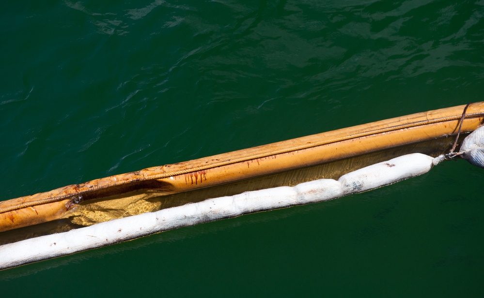 Deepwater Horizon oil spill response