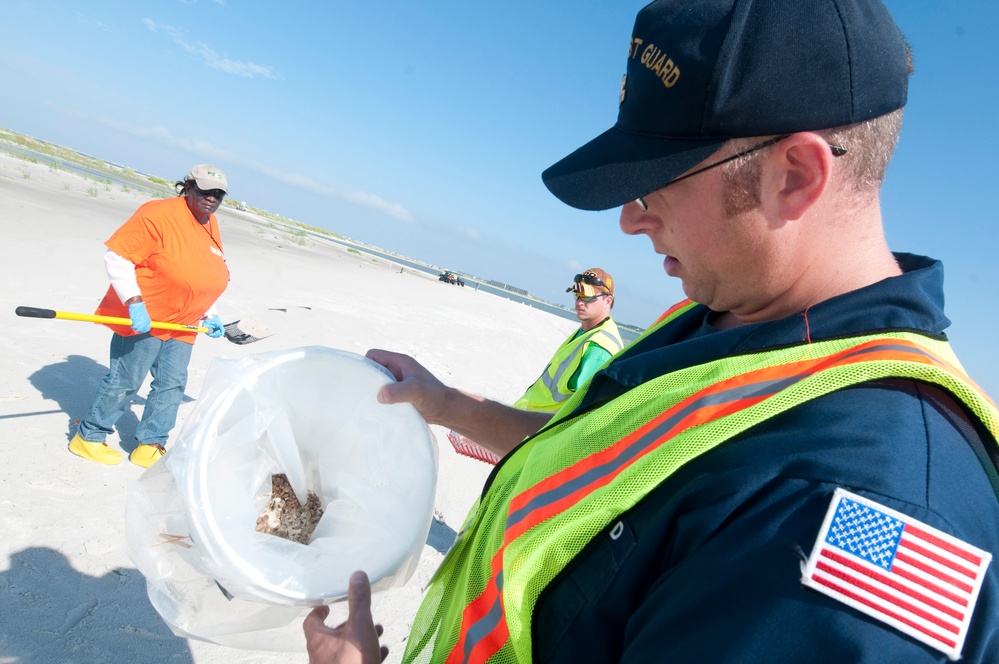 Dauphin Island, Ala., beach assessment 10
