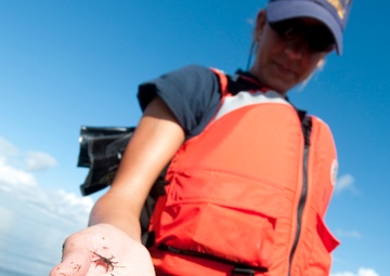 Air-boat operations in Bayou La Batre, Ala.