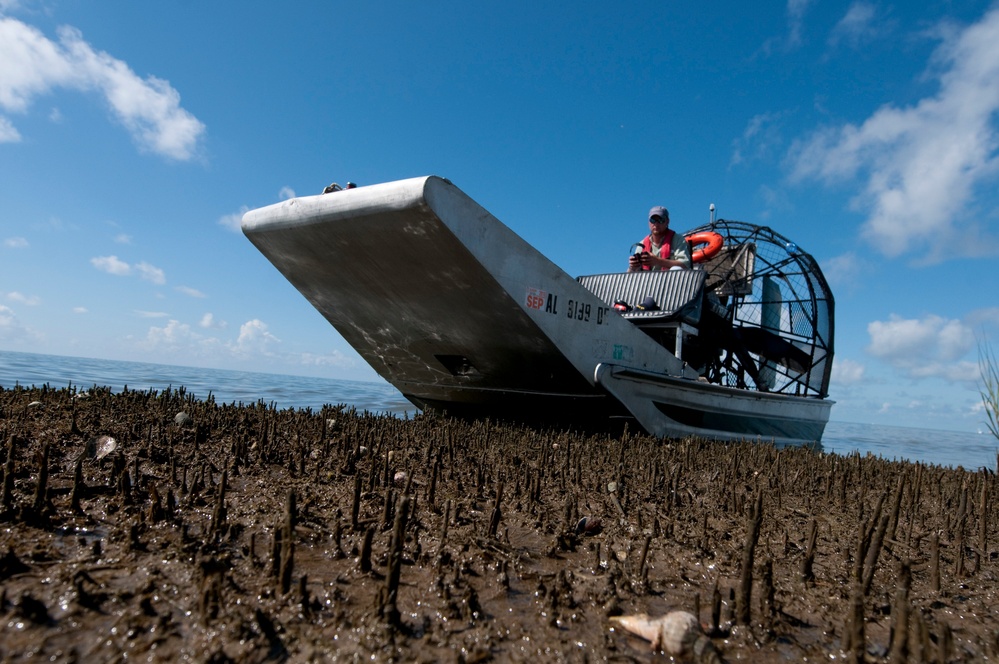 Air-boat operations in Bayou La Batre, Ala.