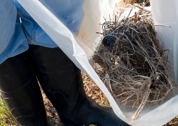 Airboat operations in Bayou La Batre, Ala.