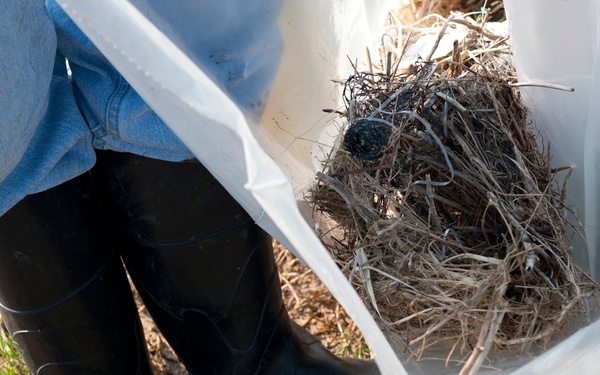 Airboat operations in Bayou La Batre, Ala.