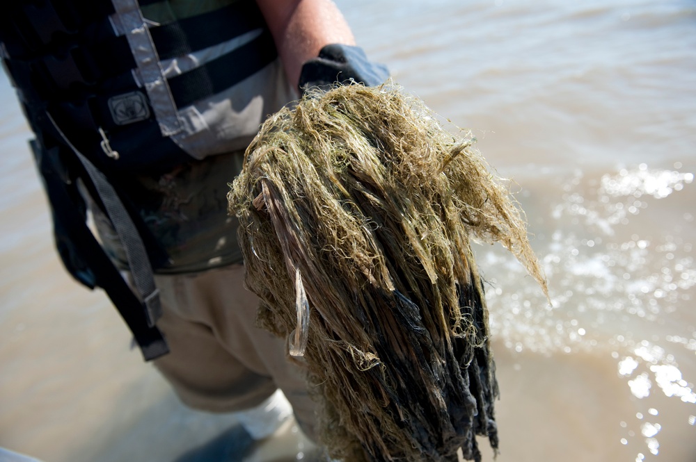Airboat operations in Bayou La Batre, Ala.
