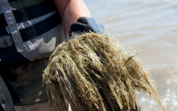 Airboat operations in Bayou La Batre, Ala.